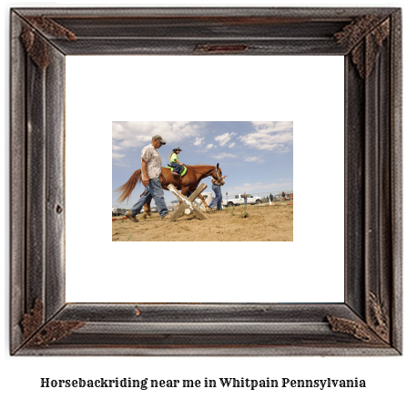 horseback riding near me in Whitpain, Pennsylvania